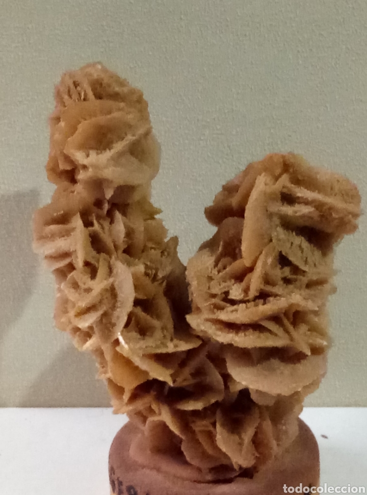 Coleccionismo de minerales: Rosa del desierto Argelia - Foto 1