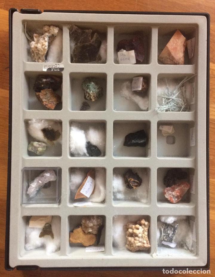 Colecciones de minerales y rocas - comprar online