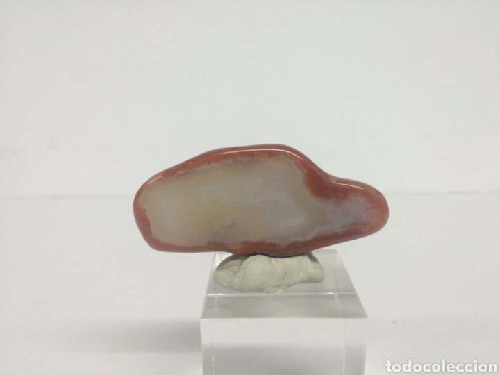 Coleccionismo de minerales: AGATA - MINERAL - Foto 2