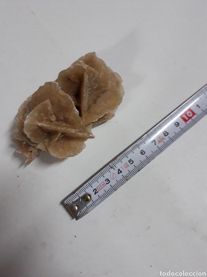 Coleccionismo de minerales: Rosa del desierto 8 cm - Foto 1