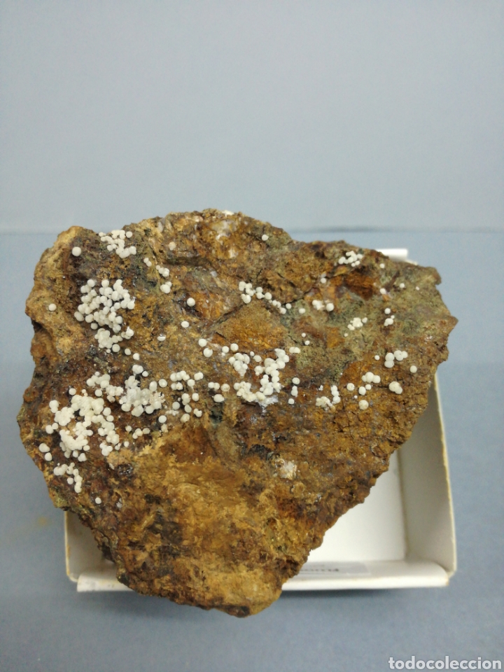 Coleccionismo de minerales: FLUORAPATITO - Mineral - Foto 1