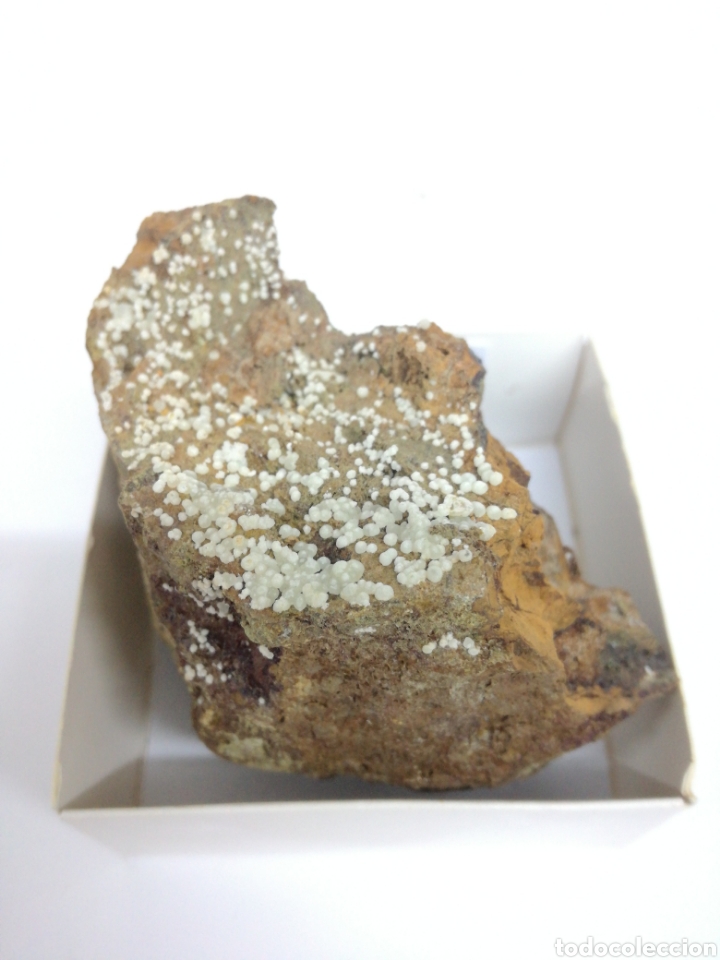 Coleccionismo de minerales: FLUORAPATITO - MINERAL - Foto 1
