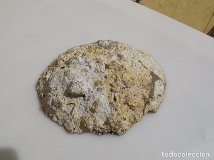 Coleccionismo de minerales: 7- Geoda de cuarzo - Foto 4