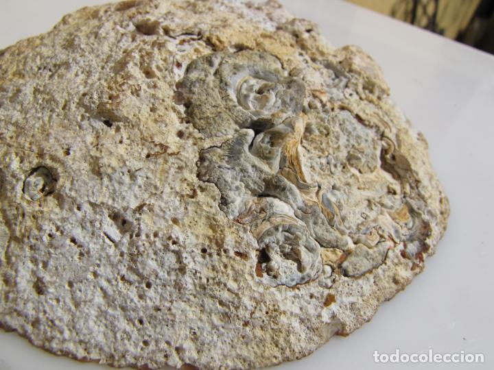 Coleccionismo de minerales: 7- Geoda de cuarzo - Foto 1