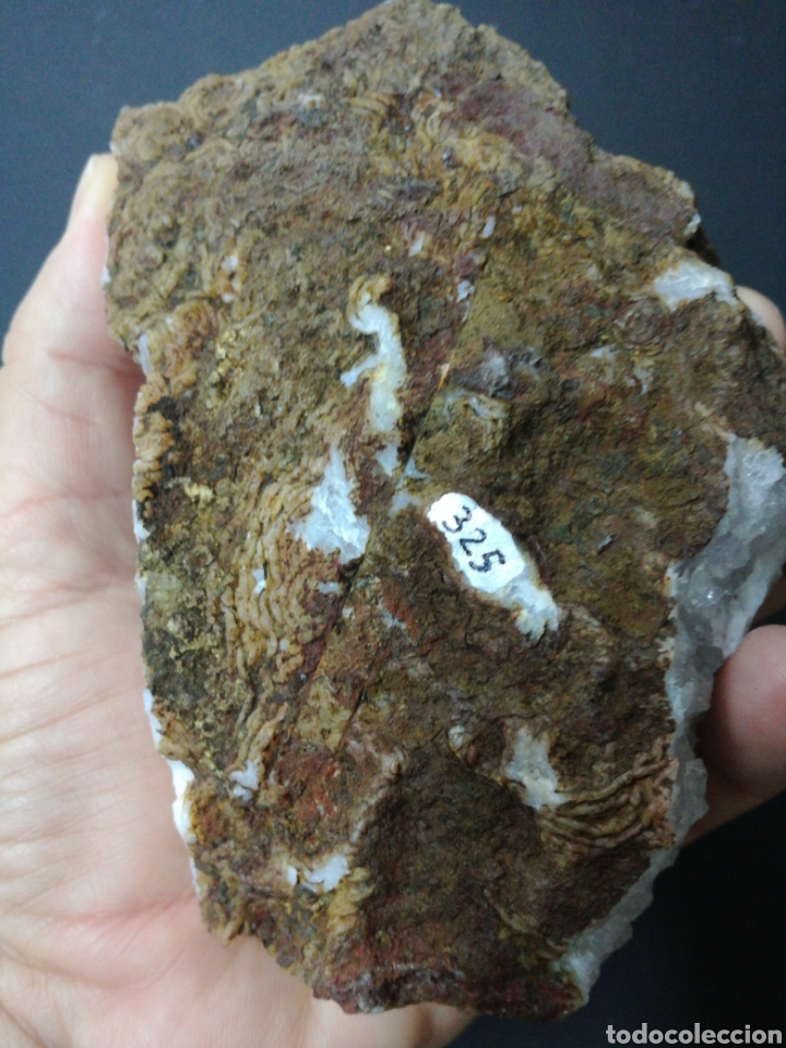 Coleccionismo de minerales: CUARZO con GOETHITA - MINERAL. - Foto 6