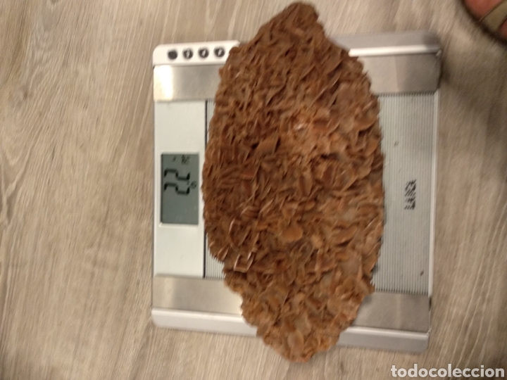 Coleccionismo de minerales: Rosa del desierto - Foto 3