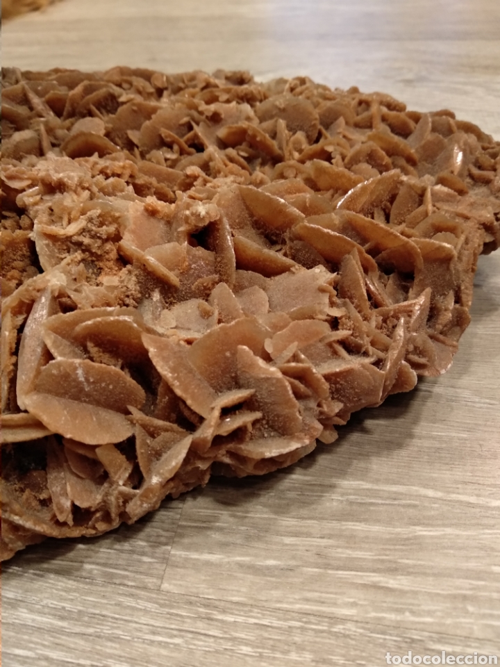 Coleccionismo de minerales: Rosa del desierto - Foto 4