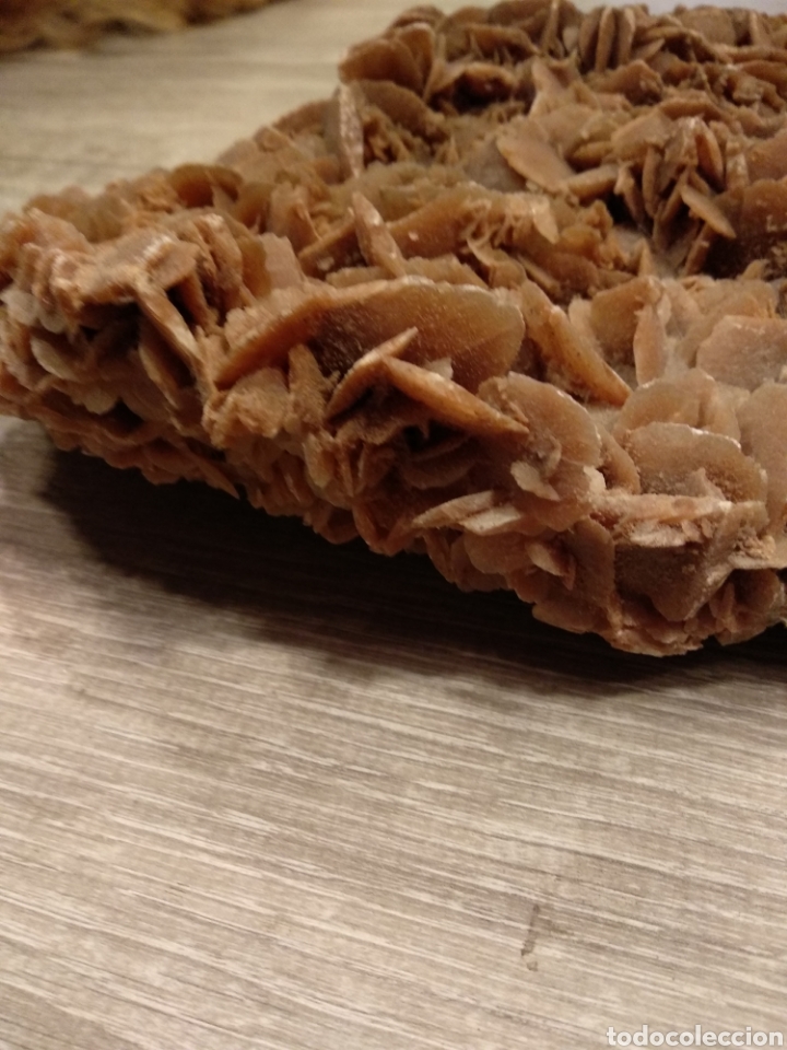 Coleccionismo de minerales: Rosa del desierto - Foto 7