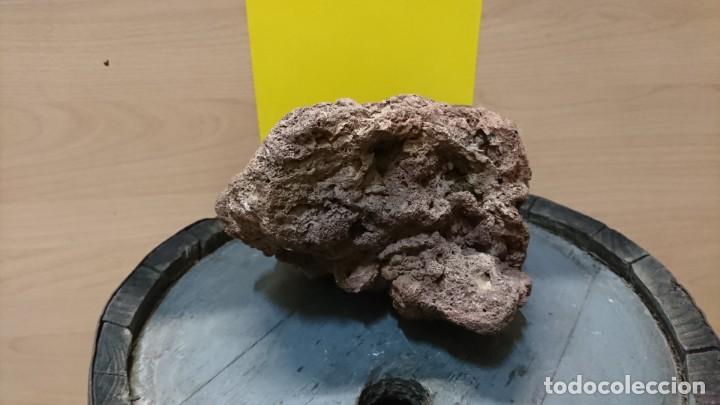 Coleccionismo de minerales: PIEDRA VOLCANICA - Foto 1