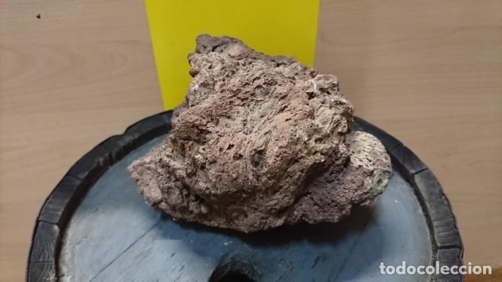 Coleccionismo de minerales: PIEDRA VOLCANICA - Foto 2