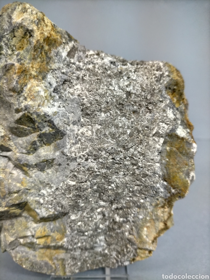 Coleccionismo de minerales: ARSENOPIRITA - Mineral - Foto 2