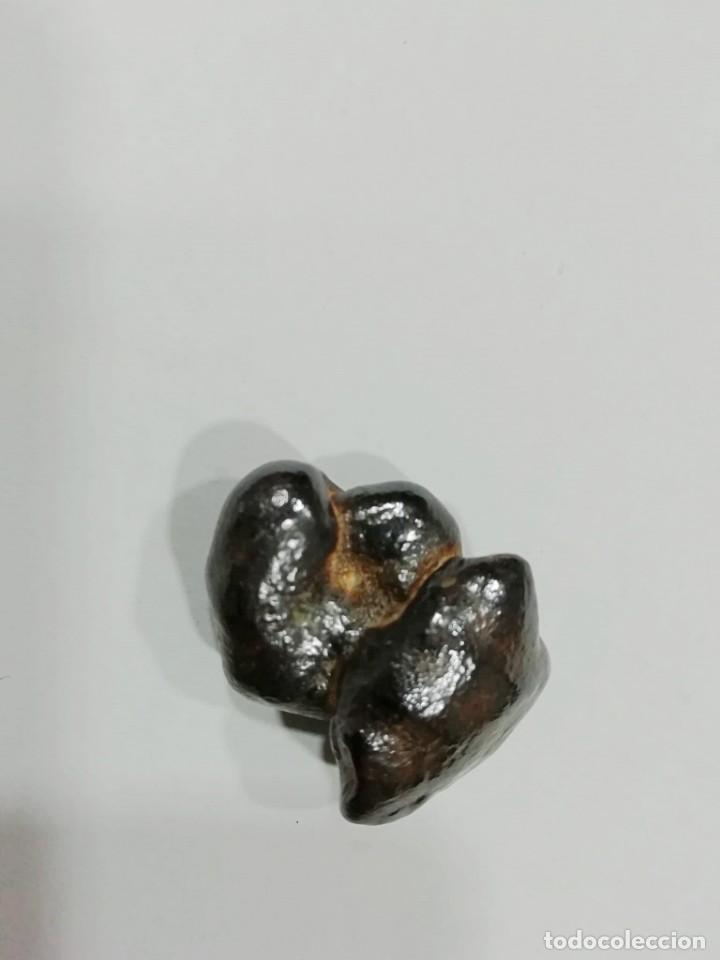 Coleccionismo de minerales: meteorito condrita 15mg - Foto 2