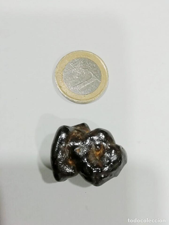 Coleccionismo de minerales: meteorito condrita 15mg - Foto 4