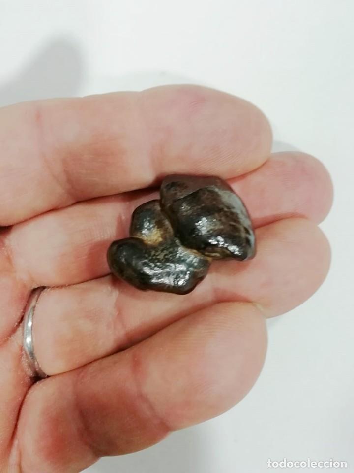 Coleccionismo de minerales: meteorito condrita 15mg - Foto 5