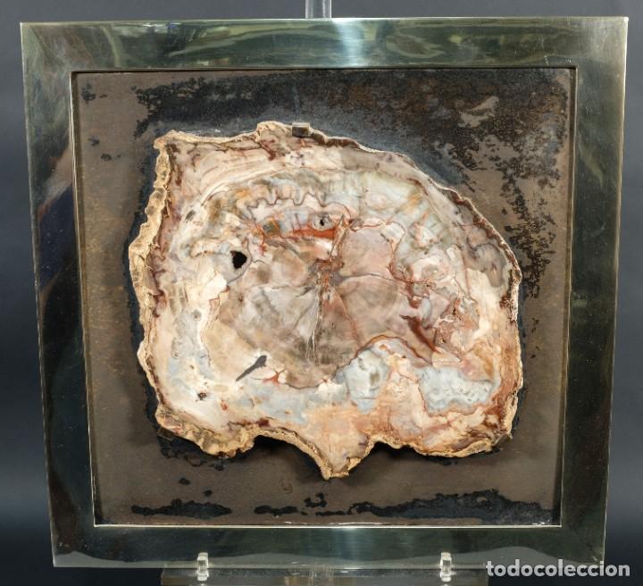 Coleccionismo de minerales: Mineral enmarcado - Foto 1
