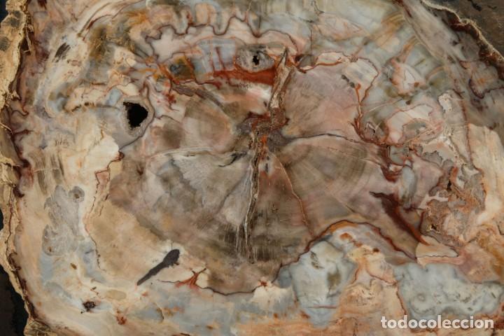 Coleccionismo de minerales: Mineral enmarcado - Foto 2