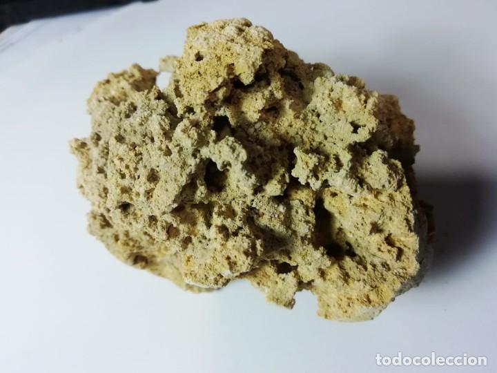 Coleccionismo de minerales: roca calcarea - Foto 1