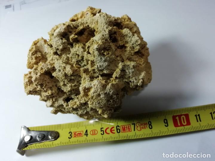 Coleccionismo de minerales: roca calcarea - Foto 2