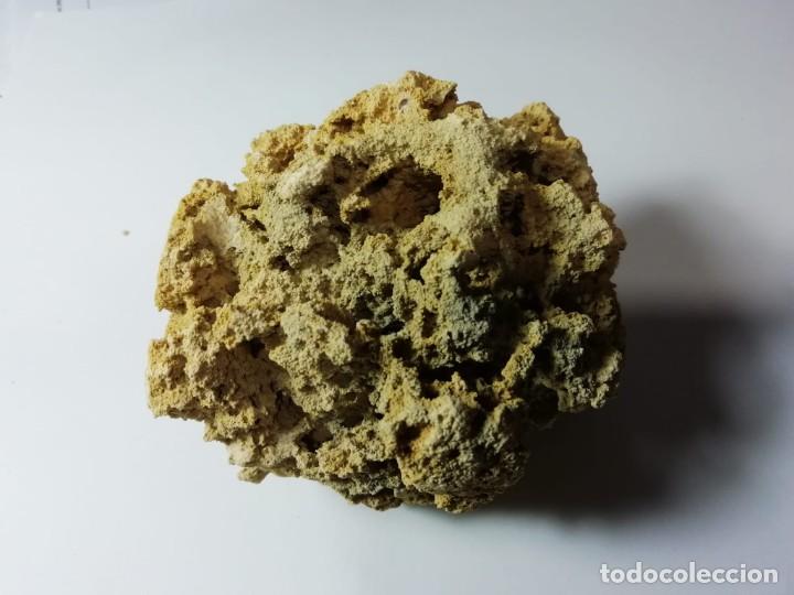 Coleccionismo de minerales: roca calcarea - Foto 3