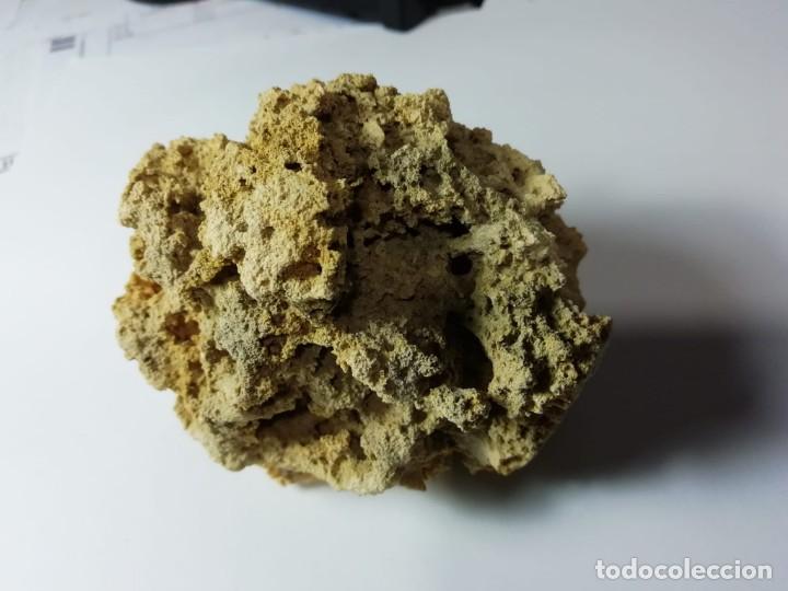 Coleccionismo de minerales: roca calcarea - Foto 4
