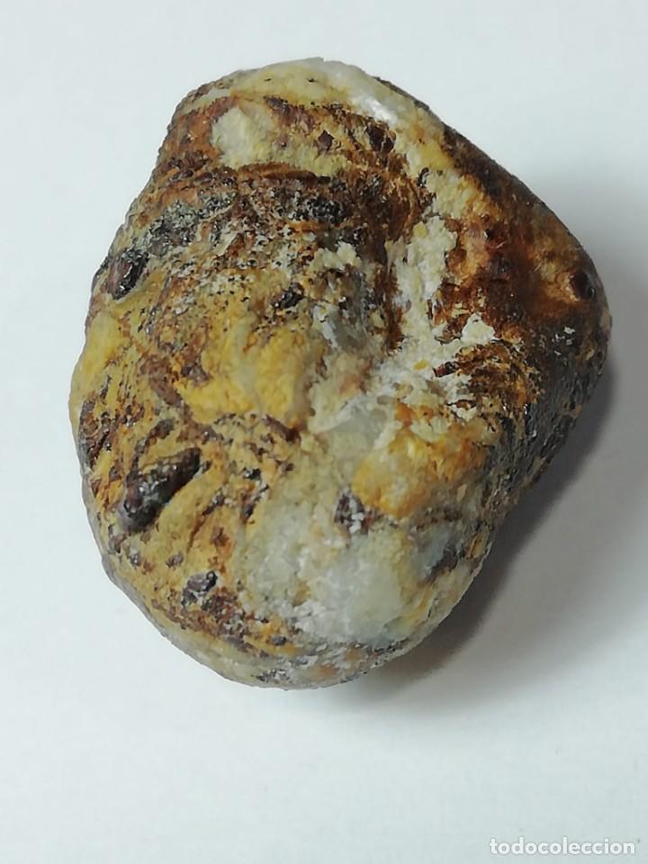 Coleccionismo de minerales: meteorito con incrustaciones de cuarzo - Foto 6