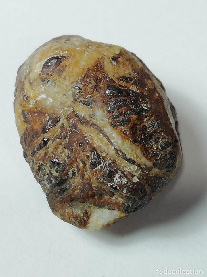 Coleccionismo de minerales: meteorito con incrustaciones de cuarzo - Foto 2