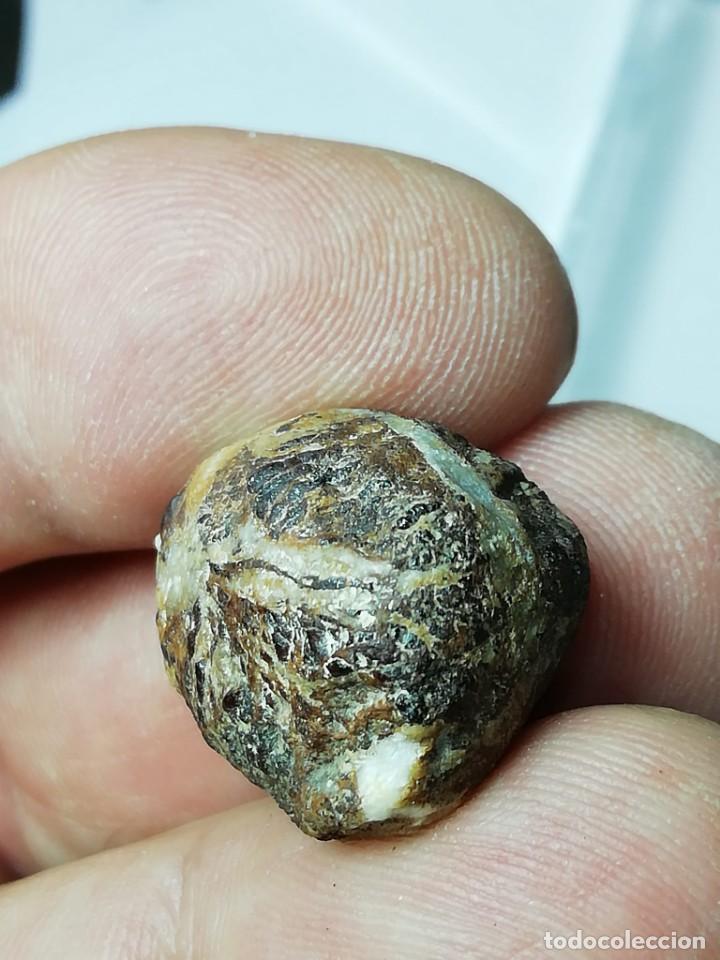 Coleccionismo de minerales: meteorito con incrustaciones de cuarzo - Foto 5
