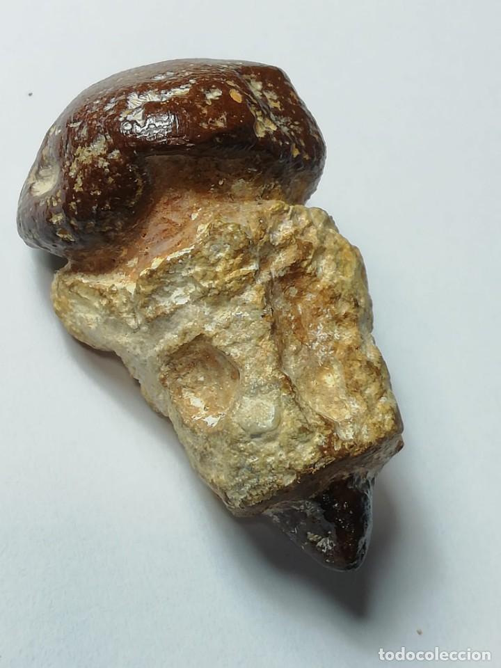 Coleccionismo de minerales: meteorito incrustado - Foto 1