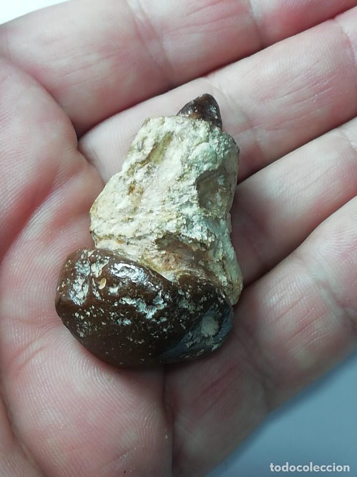 Coleccionismo de minerales: meteorito incrustado - Foto 2