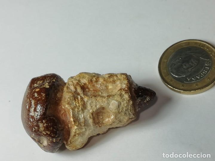Coleccionismo de minerales: meteorito incrustado - Foto 4