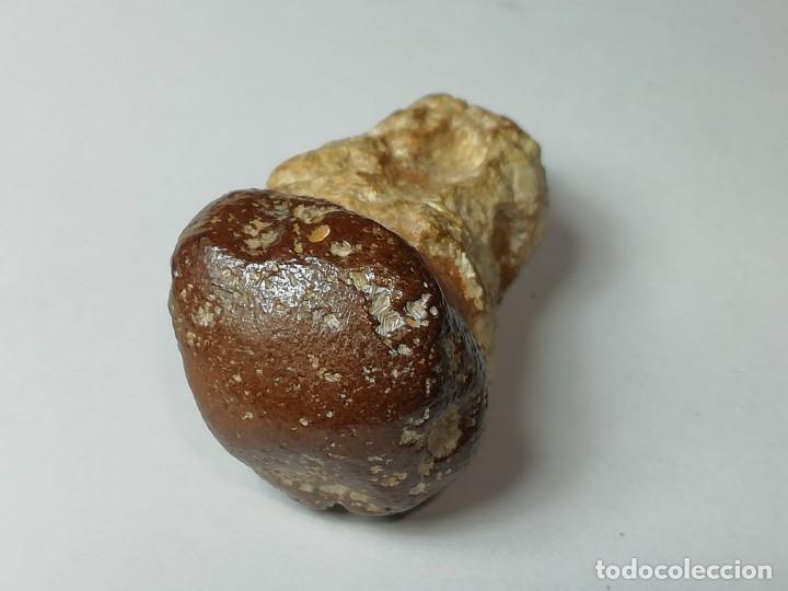 Coleccionismo de minerales: meteorito incrustado - Foto 5