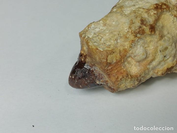 Coleccionismo de minerales: meteorito incrustado - Foto 6