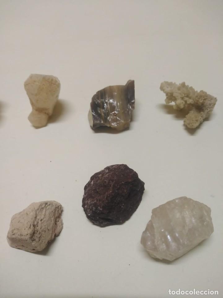 Coleccionismo de minerales: Colecci&oacute;n de minerales - Foto 5