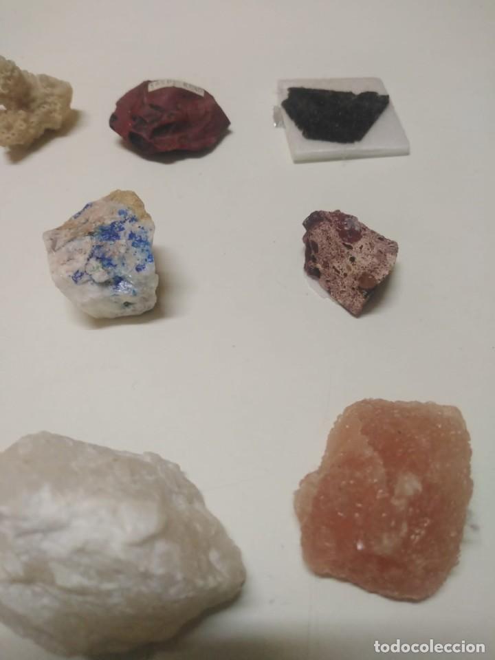 Coleccionismo de minerales: Colecci&oacute;n de minerales - Foto 6