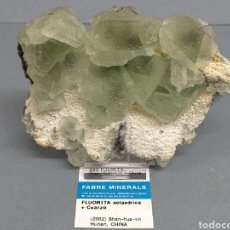 Coleccionismo de minerales: FLUORITA + CUARZO - MINERAL. Lote 230582265