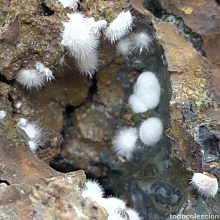 Coleccionismo de minerales: FLUORAPATITO - MINERAL - Foto 5