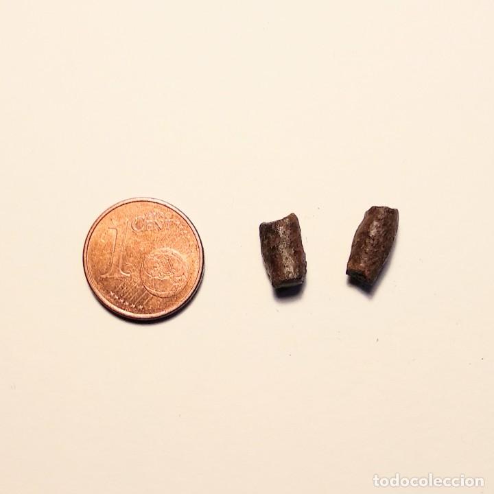 Coleccionismo de minerales: Meteorito. Catalu&ntilde;a. - Foto 1