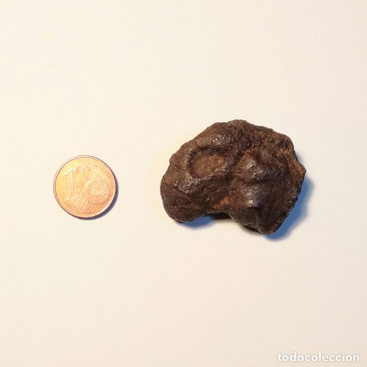 Coleccionismo de minerales: Meteorito ferroso. Catalu&ntilde;a. - Foto 1