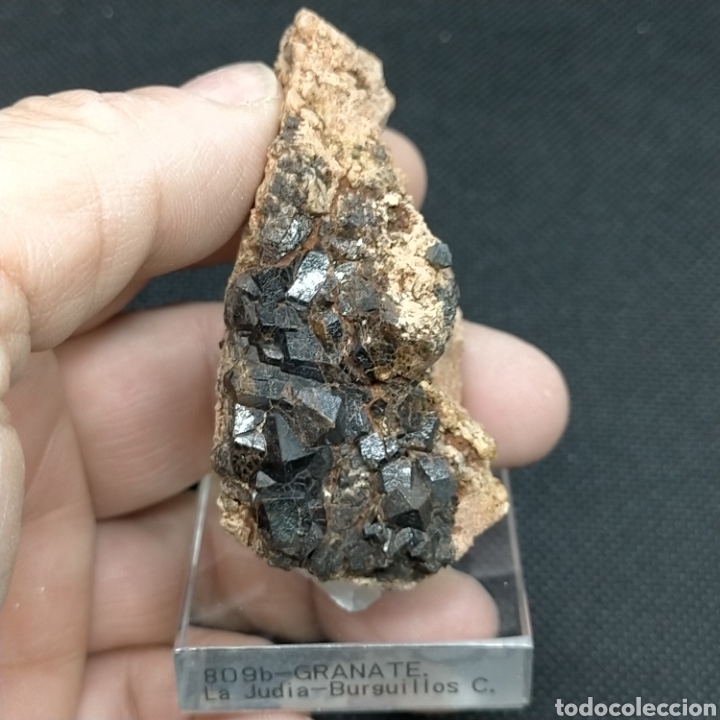 Coleccionismo de minerales: GRANATE - MINERAL. Badajoz - Foto 3