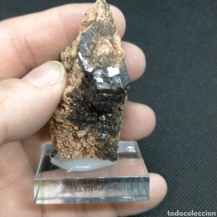Coleccionismo de minerales: GRANATE - MINERAL. Badajoz - Foto 4