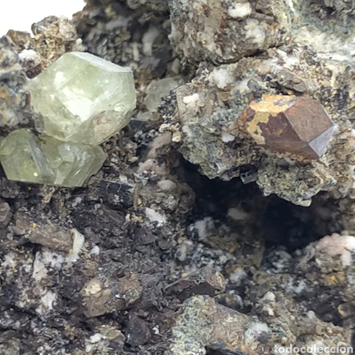 Coleccionismo de minerales: FLUORAPATITO+ PIRITA. Minera l - Foto 4