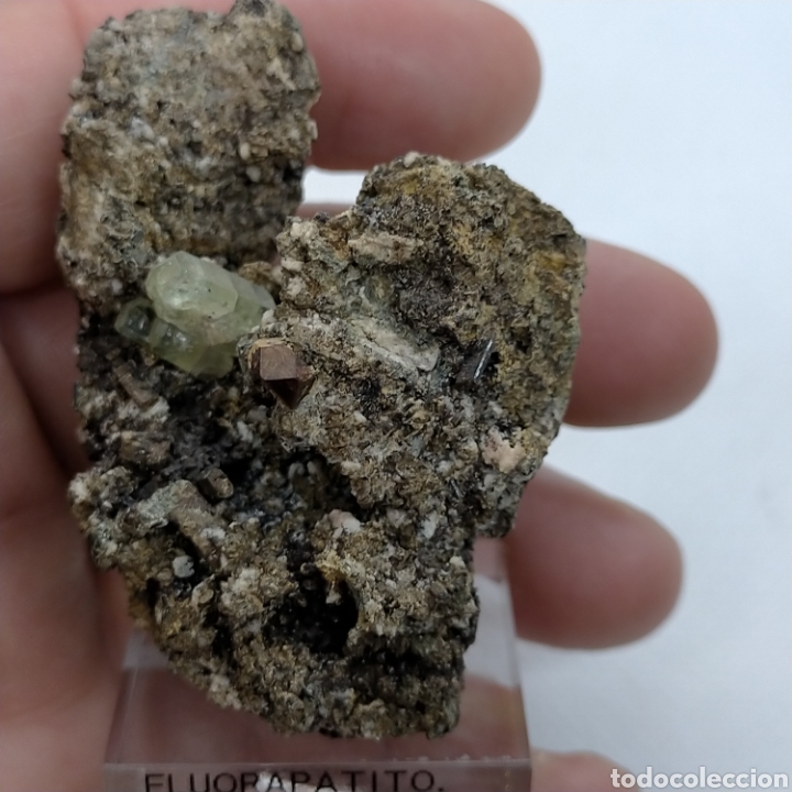 Coleccionismo de minerales: FLUORAPATITO+ PIRITA. Minera l - Foto 5