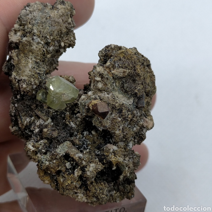 Coleccionismo de minerales: FLUORAPATITO+ PIRITA. Minera l - Foto 6