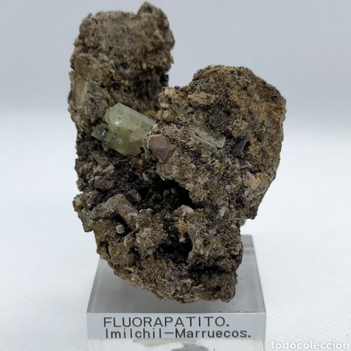 Coleccionismo de minerales: FLUORAPATITO+ PIRITA. Minera l - Foto 1