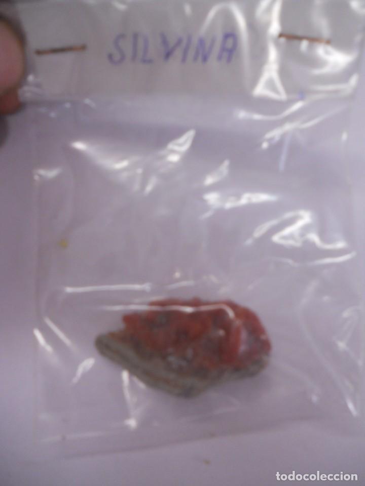 Coleccionismo de minerales: MINERAL SILVINA - Foto 1