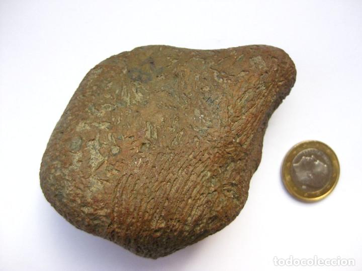Coleccionismo de minerales: ROCA CANTO RODADO VENTIFACTO - Foto 2