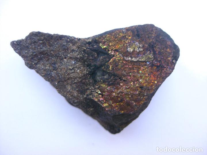 Coleccionismo de minerales: MINERAL CALCOPIRITA IRISADA - Foto 1