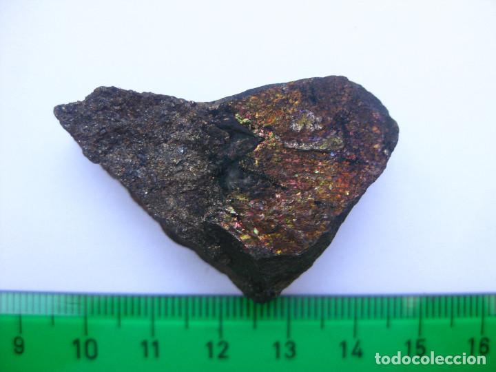 Coleccionismo de minerales: MINERAL CALCOPIRITA IRISADA - Foto 4
