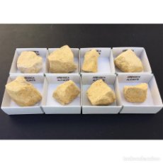 Coleccionismo de minerales: ARENISCA DE ALICANTE ESPAÑA 4 X 4CM. Lote 293345358