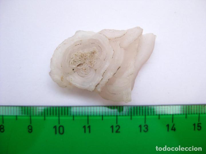 Coleccionismo de minerales: MINERAL CALCEDONIA - Foto 3